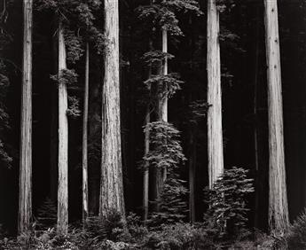 ANSEL ADAMS (1902-1984) Portfolio Four: What Majestic Word, In Memory of Russell Varian. 1963.